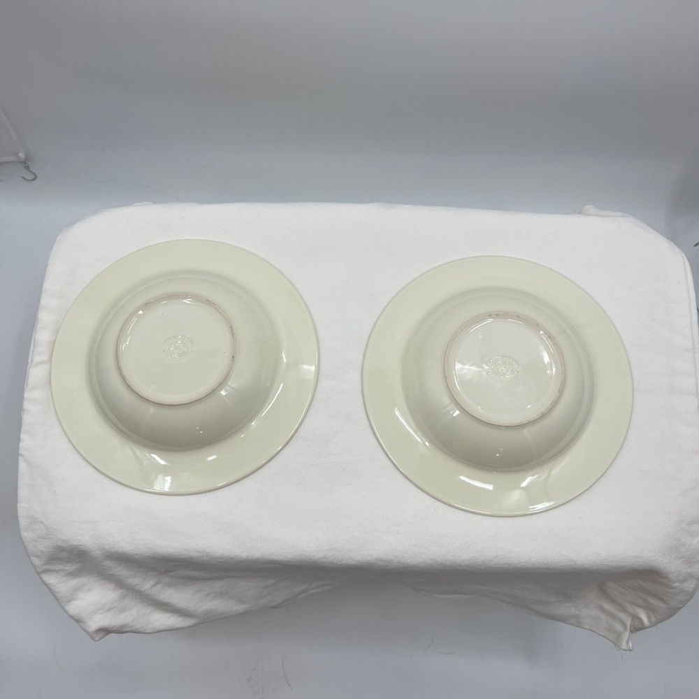 Gail Pittman Hospitality Collection SLAH 10" individual pasta bowls Set of 2 - Picture 8 of 10